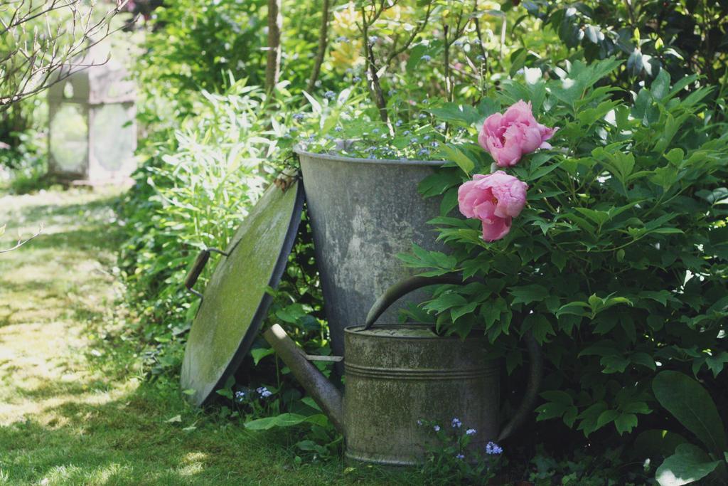Le Bonheur A La Campagne Bed and Breakfast Lesmont Buitenkant foto