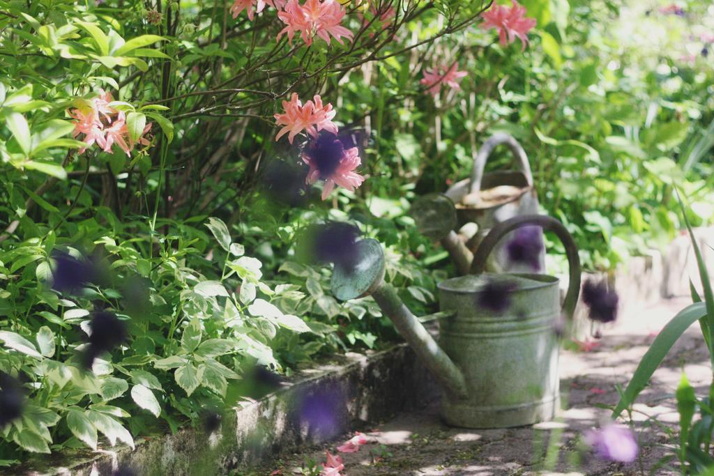 Le Bonheur A La Campagne Bed and Breakfast Lesmont Buitenkant foto