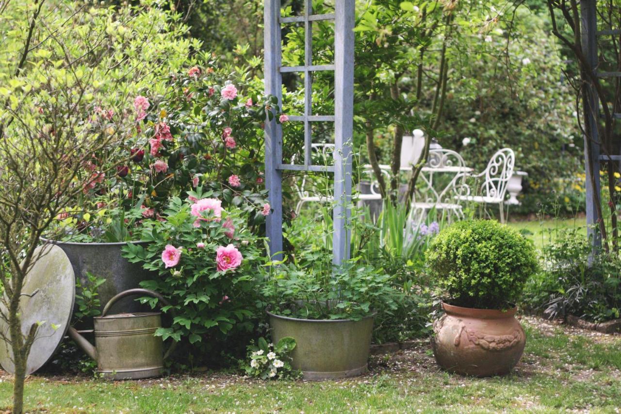Le Bonheur A La Campagne Bed and Breakfast Lesmont Buitenkant foto